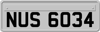NUS6034