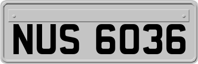 NUS6036