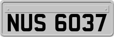 NUS6037