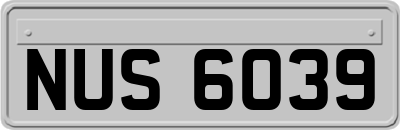 NUS6039