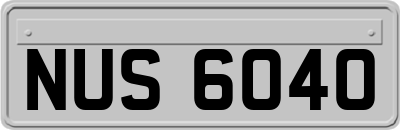 NUS6040