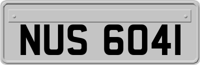 NUS6041