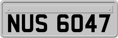 NUS6047