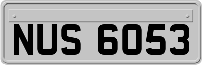 NUS6053