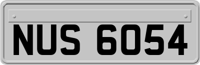 NUS6054