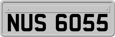 NUS6055