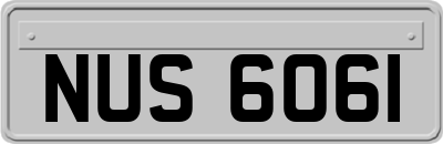 NUS6061