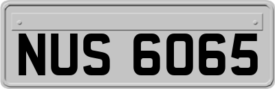 NUS6065