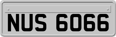NUS6066