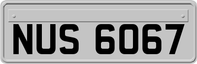 NUS6067