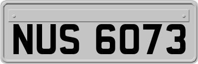 NUS6073