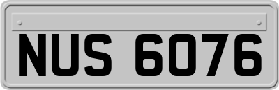 NUS6076