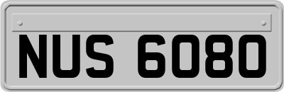 NUS6080