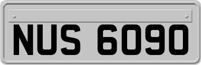 NUS6090