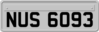 NUS6093