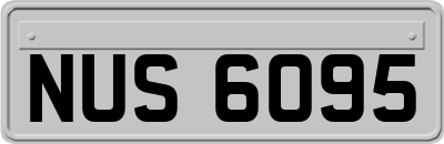 NUS6095