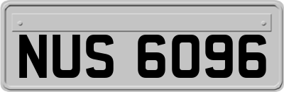 NUS6096