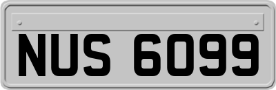 NUS6099