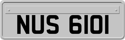 NUS6101