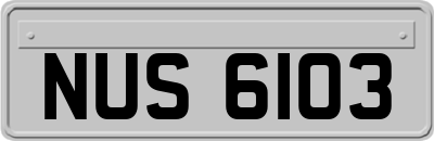 NUS6103