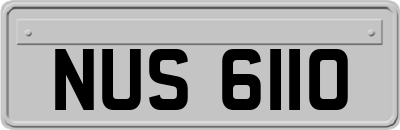 NUS6110