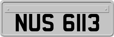 NUS6113