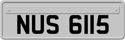 NUS6115