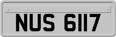 NUS6117