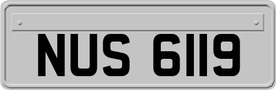 NUS6119
