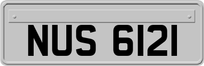 NUS6121