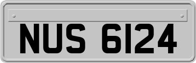 NUS6124