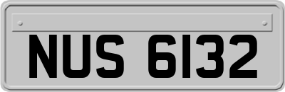 NUS6132