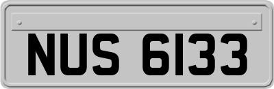 NUS6133
