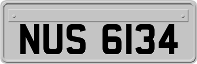 NUS6134