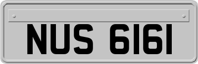 NUS6161