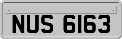NUS6163