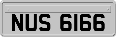 NUS6166