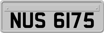 NUS6175