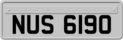 NUS6190