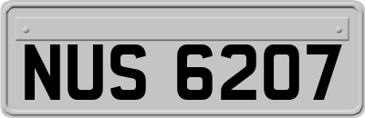 NUS6207