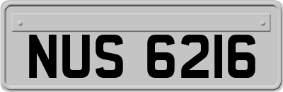 NUS6216