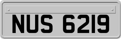 NUS6219