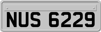 NUS6229