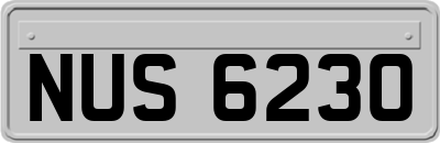 NUS6230
