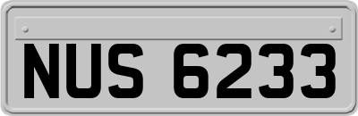 NUS6233