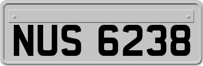 NUS6238
