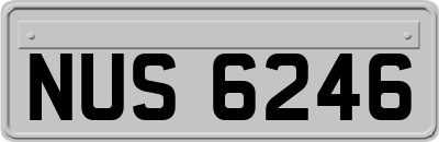 NUS6246