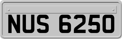 NUS6250