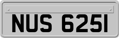 NUS6251