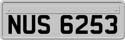 NUS6253